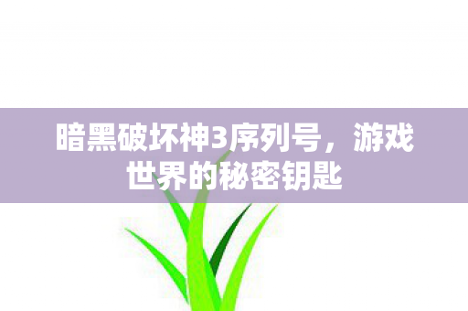 暗黑破坏神3序列号，游戏世界的秘密钥匙