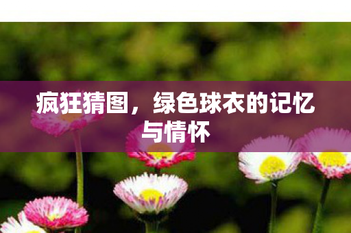 疯狂猜图,绿色球衣的记忆与情怀 疯狂猜图,绿色球衣的记忆与情怀