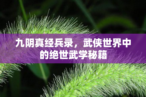 九阴真经兵录,武侠世界中的绝世武学秘籍 九阴真经兵录,武侠世界中的绝世武学秘籍