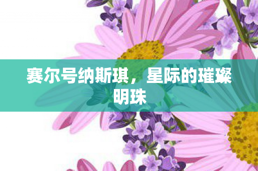 赛尔号纳斯琪，星际的璀璨明珠