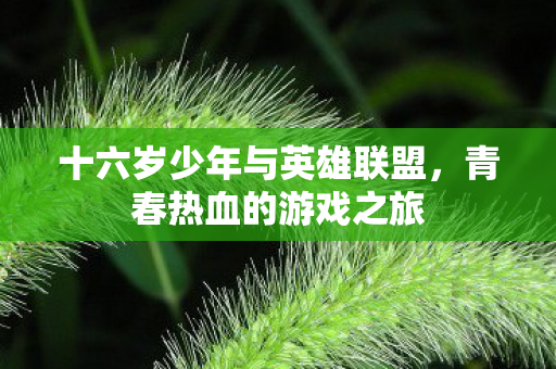 十六岁少年与英雄联盟,青春热血的游戏之旅 十六岁少年与英雄联盟,青春热血的游戏之旅