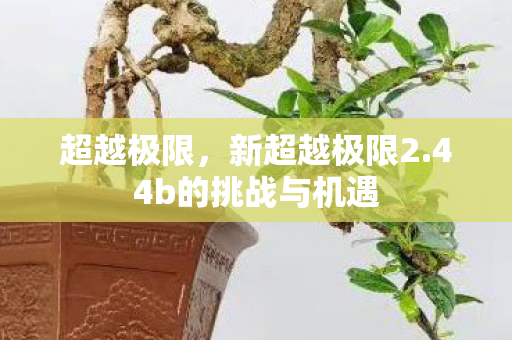 超越极限,新超越极限2.44b的挑战与机遇 超越极限,新超越极限2.44b的挑战与机遇