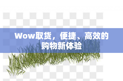 Wow取货,便捷、高效的购物新体验 Wow取货,便捷、高效的购物新体验