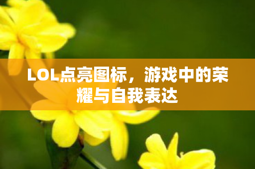 LOL点亮图标,游戏中的荣耀与自我表达 LOL点亮图标,游戏中的荣耀与自我表达