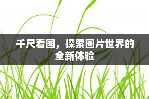 千尺看图,探索图片世界的全新体验 千尺看图,探索图片世界的全新体验