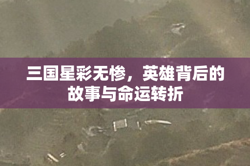 三国星彩无惨,英雄背后的故事与命运转折 三国星彩无惨,英雄背后的故事与命运转折