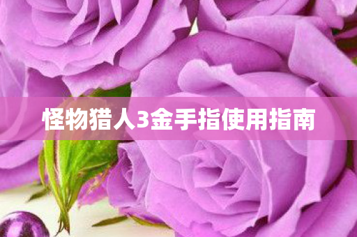 怪物猎人3金手指使用指南 怪物猎人3金手指使用指南