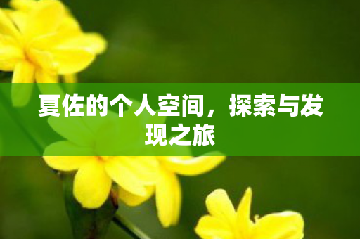 夏佐的个人空间,探索与发现之旅 夏佐的个人空间,探索与发现之旅