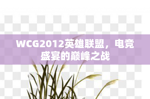 WCG2012英雄联盟，电竞盛宴的巅峰之战