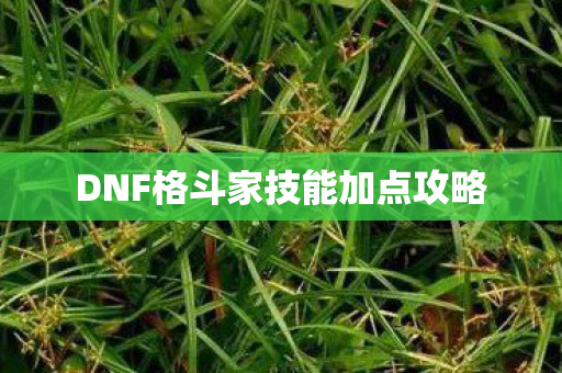 DNF格斗家技能加点攻略 DNF格斗家技能加点攻略