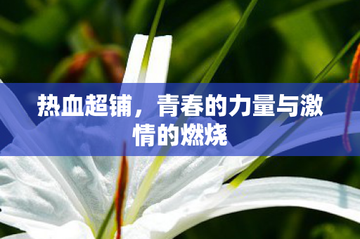 热血超铺,青春的力量与激情的燃烧 热血超铺,青春的力量与激情的燃烧