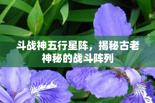 斗战神五行星阵,揭秘古老神秘的战斗阵列 斗战神五行星阵,揭秘古老神秘的战斗阵列