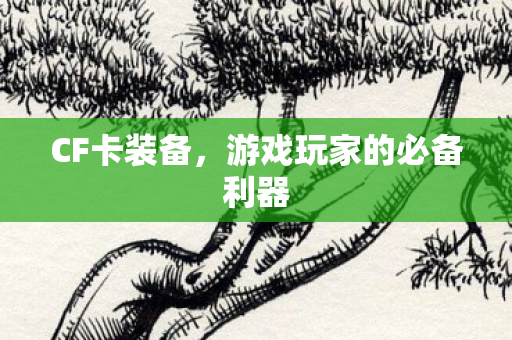 CF卡装备,游戏玩家的必备利器 CF卡装备,游戏玩家的必备利器