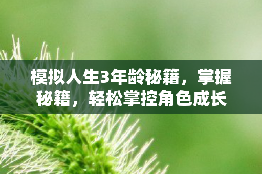 模拟人生3年龄秘籍,掌握秘籍,轻松掌控角色成长 模拟人生3年龄秘籍,掌握秘籍,轻松掌控角色成长