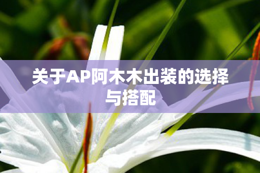 关于AP阿木木出装的选择与搭配 关于AP阿木木出装的选择与搭配