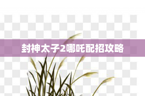 封神太子2哪吒配招攻略 封神太子2哪吒配招攻略