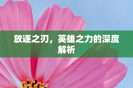 放逐之刃,英雄之力的深度解析 放逐之刃,英雄之力的深度解析