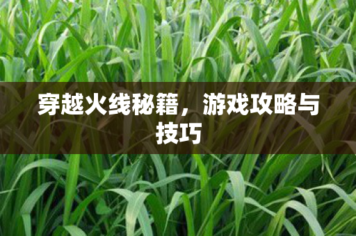 穿越火线秘籍,游戏攻略与技巧 穿越火线秘籍,游戏攻略与技巧