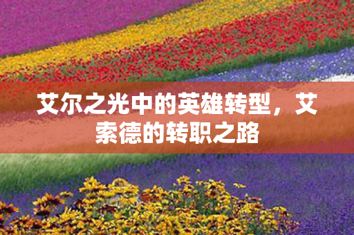 艾尔之光中的英雄转型，艾索德的转职之路
