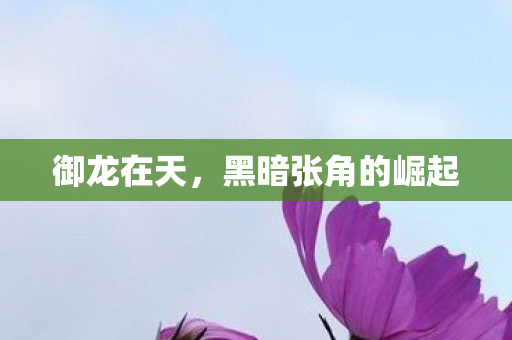 御龙在天,黑暗张角的崛起 御龙在天,黑暗张角的崛起