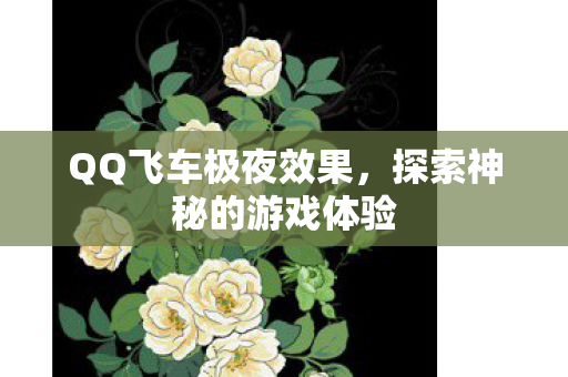QQ飞车极夜效果，探索神秘的游戏体验