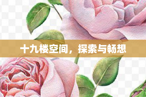 十九楼空间,探索与畅想 十九楼空间,探索与畅想