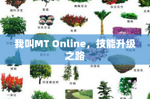 我叫MT Online,技能升级之路 我叫MT Online,技能升级之路