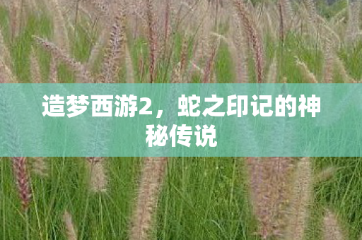 造梦西游2,蛇之印记的神秘传说 造梦西游2,蛇之印记的神秘传说