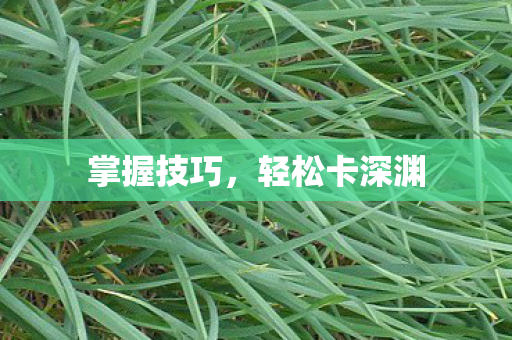 掌握技巧，轻松卡深渊