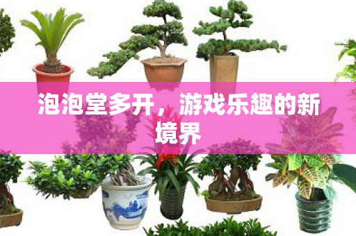 泡泡堂多开,游戏乐趣的新境界 泡泡堂多开,游戏乐趣的新境界