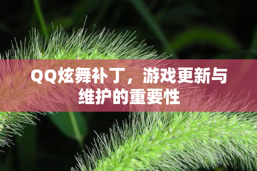 QQ炫舞补丁,游戏更新与维护的重要性 QQ炫舞补丁,游戏更新与维护的重要性