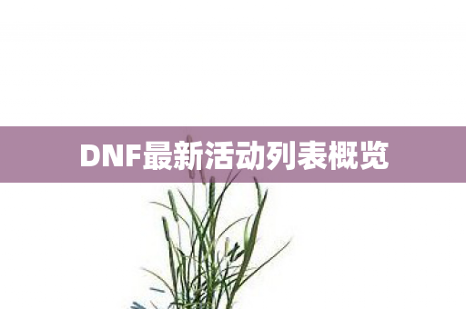 DNF最新活动列表概览 DNF最新活动列表概览