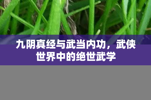 九阴真经与武当内功，武侠世界中的绝世武学