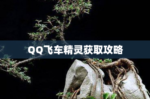 QQ飞车精灵获取攻略 QQ飞车精灵获取攻略