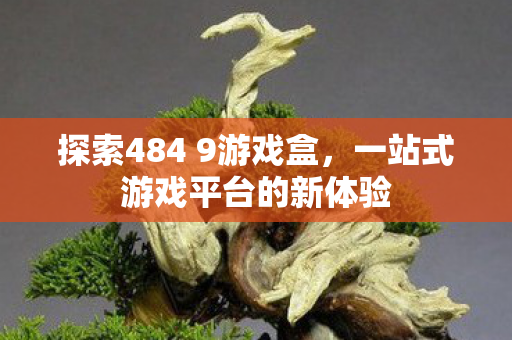 探索484 9游戏盒,一站式游戏平台的新体验 探索484 9游戏盒,一站式游戏平台的新体验