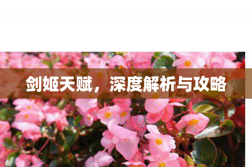 剑姬天赋,深度解析与攻略 剑姬天赋,深度解析与攻略