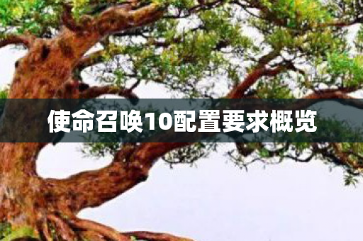 使命召唤10配置要求概览 使命召唤10配置要求概览