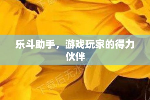 乐斗助手,游戏玩家的得力伙伴 乐斗助手,游戏玩家的得力伙伴