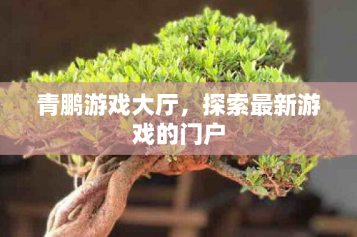青鹏游戏大厅,探索最新游戏的门户 青鹏游戏大厅,探索最新游戏的门户
