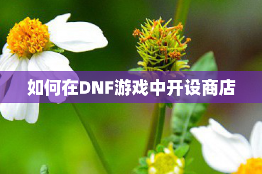如何在DNF游戏中开设商店 如何在DNF游戏中开设商店