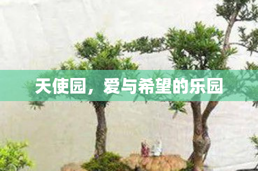 天使园,爱与希望的乐园 天使园,爱与希望的乐园