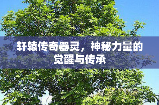 轩辕传奇器灵,神秘力量的觉醒与传承 轩辕传奇器灵,神秘力量的觉醒与传承