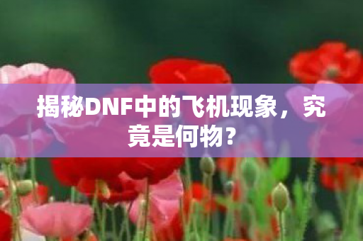 揭秘DNF中的飞机现象,究竟是何物? 揭秘DNF中的飞机现象,究竟是何物?