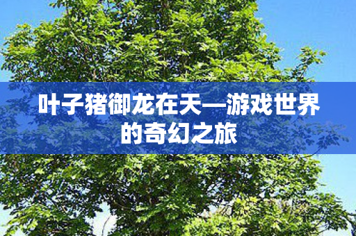 叶子猪御龙在天—游戏世界的奇幻之旅 叶子猪御龙在天—游戏世界的奇幻之旅