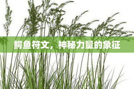 鳄鱼符文,神秘力量的象征 鳄鱼符文,神秘力量的象征