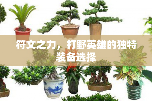 符文之力，打野英雄的独特装备选择