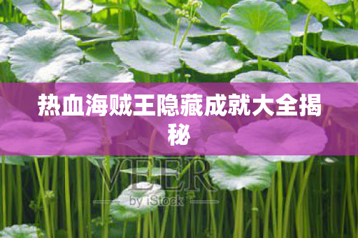 热血海贼王隐藏成就大全揭秘 热血海贼王隐藏成就大全揭秘