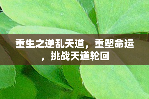 重生之逆乱天道,重塑命运,挑战天道轮回 重生之逆乱天道,重塑命运,挑战天道轮回
