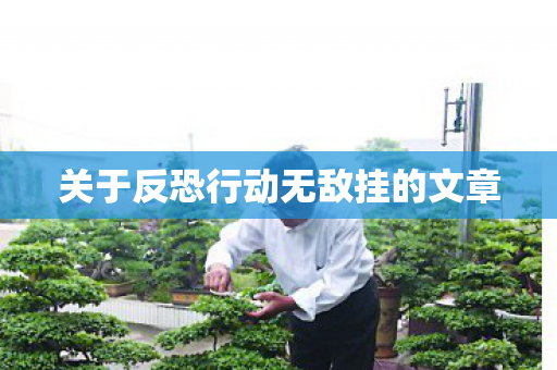 关于反恐行动无敌挂的文章 关于反恐行动无敌挂的文章