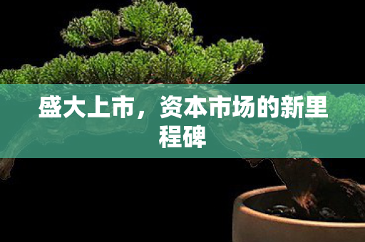 盛大上市,资本市场的新里程碑 盛大上市,资本市场的新里程碑
